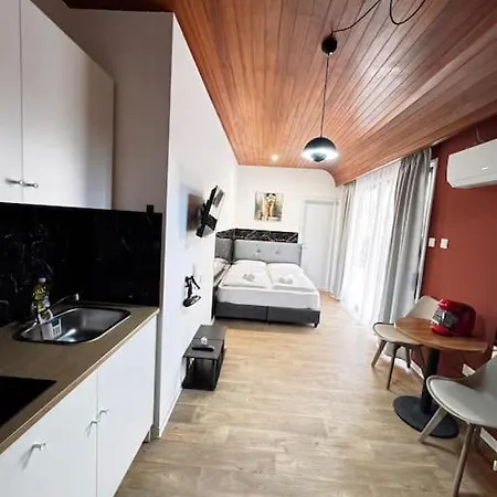 Modern N1 Private Kitchenette And Bathroom Appartamento